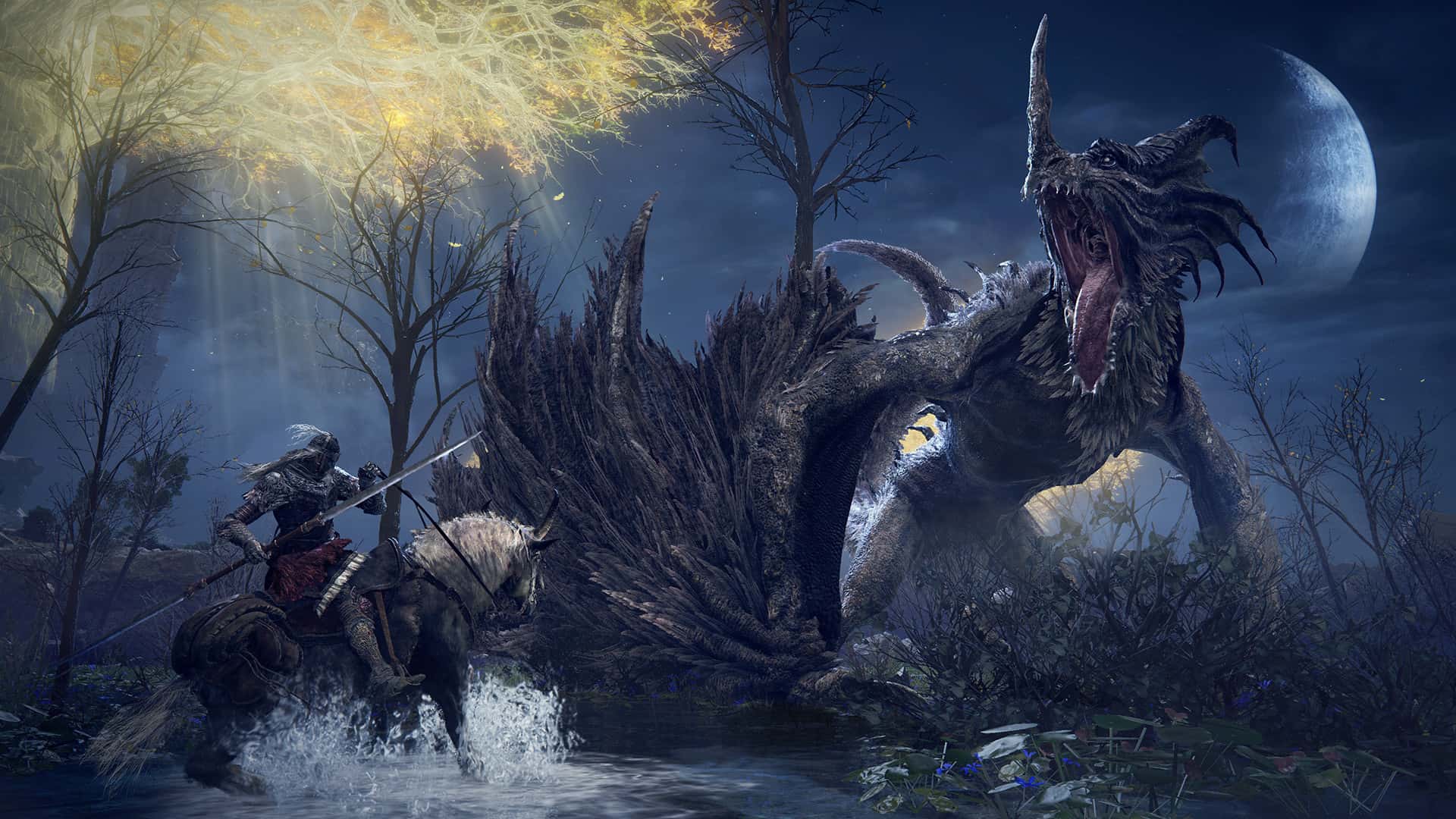 视觉数据5